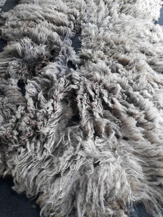 2020 Shetland Shearling Fleece from Jasper
