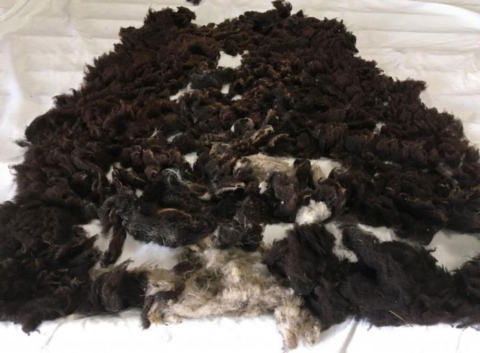 2020 Soay Shearling Fleece from Cardamom