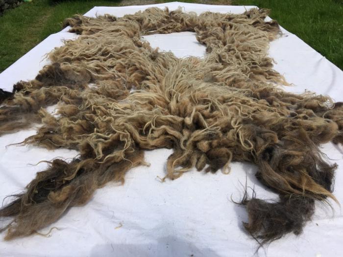 2021 Boreray Shearling Fleece from Frodo