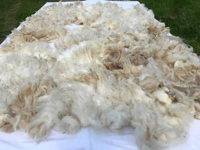 2021 Boreray Shearling Fleece from Rae