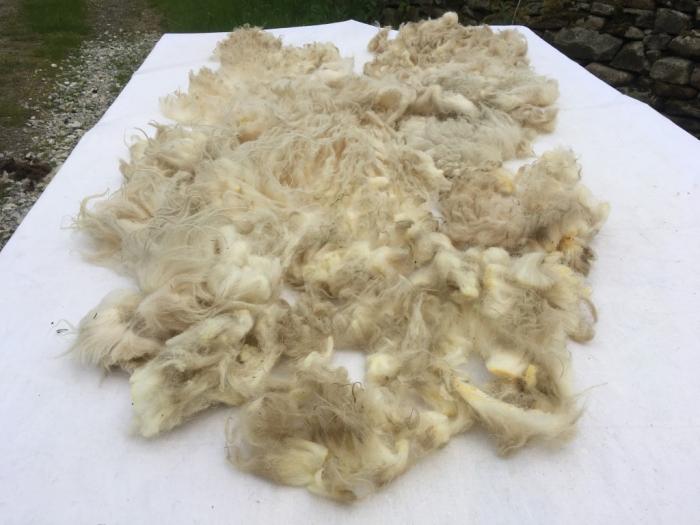 2021 Boreray Fleece from Jasmine