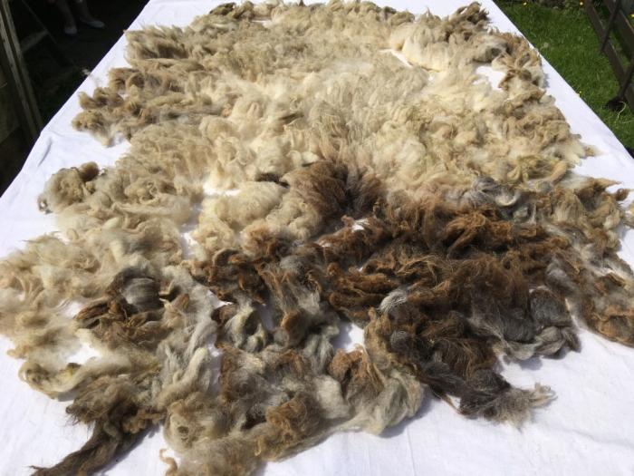 2021 Boreray Shearling Fleece