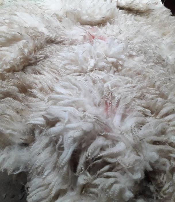 2021 Llanwenog Shearling Fleece