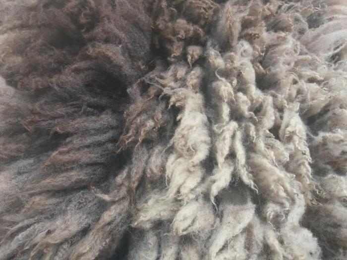 2021 Shetland Shearling Fleece from Fudges Boy