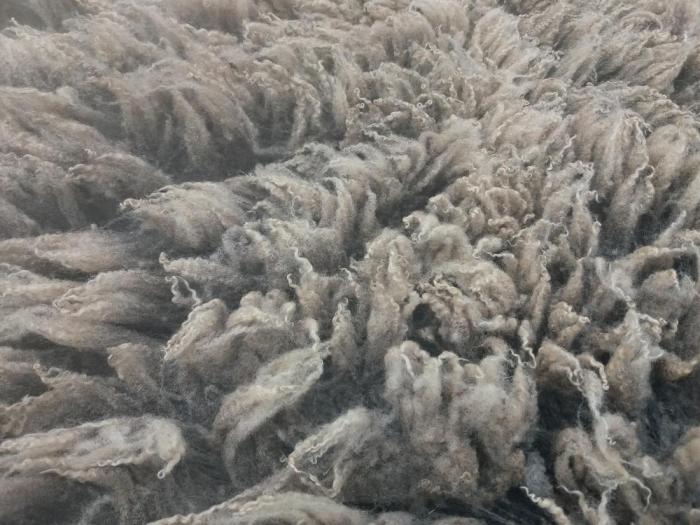 2021 Shetland Shearling Fleece from Wabbits Brother