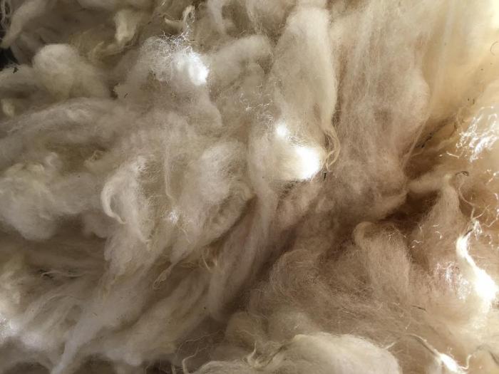 2021 Portland Shearling Fleece from Cordelia (Washed)