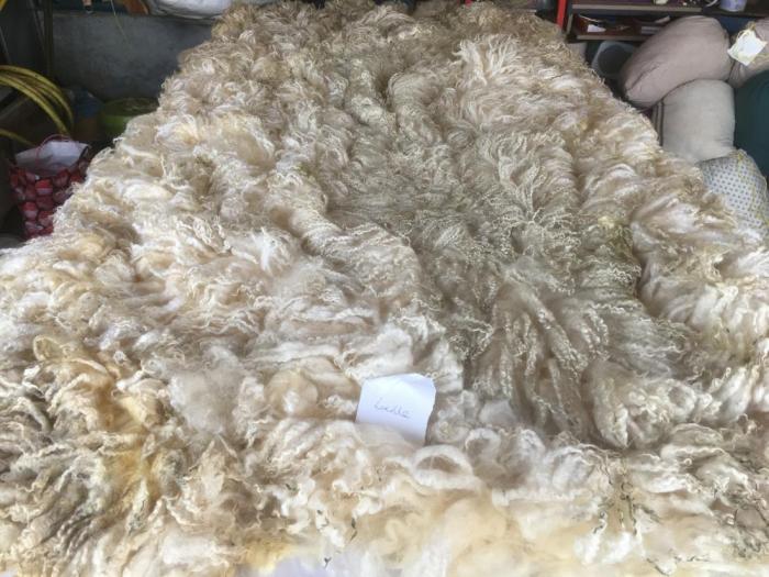 2021 Wensleydale Cross Shearling Fleece from Lucille