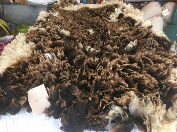 2021 Jacob Shearling Fleece from Patch