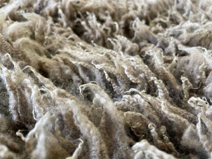 2022 Shetland Shearling Fleece