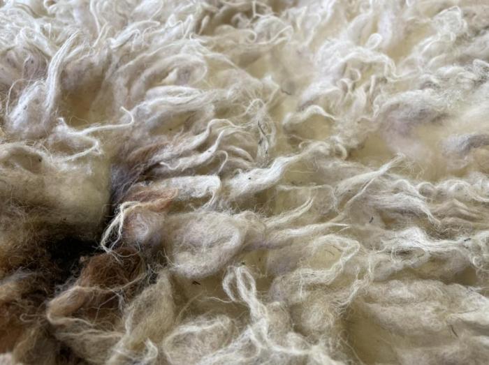 2022 Boreray Shearling Fleece from George