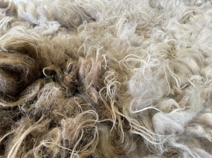 2022 Boreray Fleece from Fern