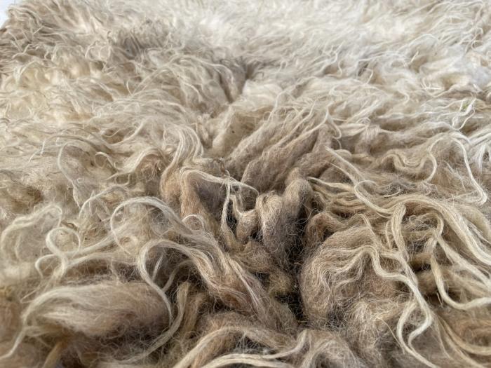 2022 Boreray Fleece from Freya