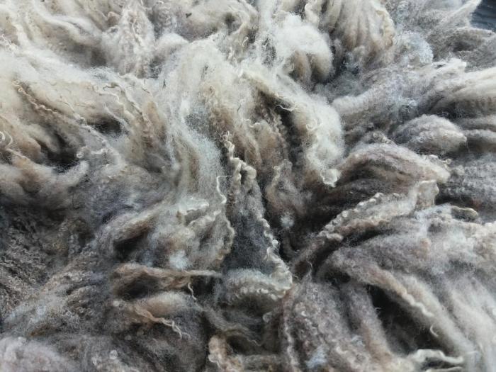 2022 Shetland Shearling Fleece from Betty's Big Boy