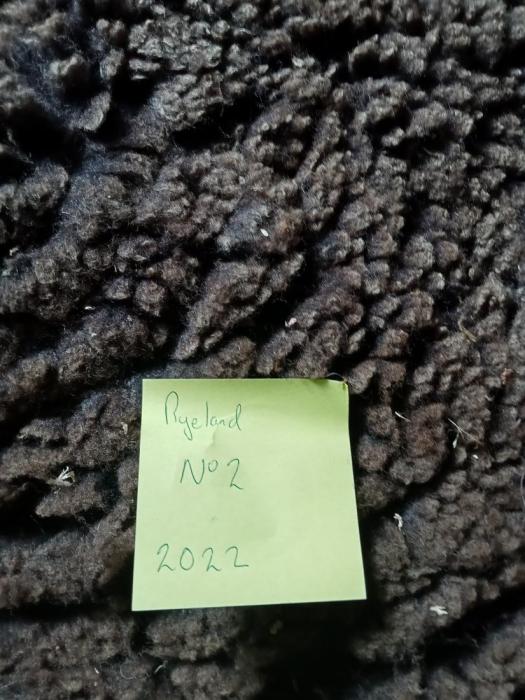 2022 Coloured Ryeland Fleece