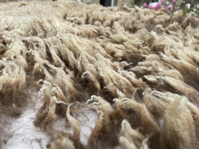 2023 Shetland Shearling Fleece from Heather