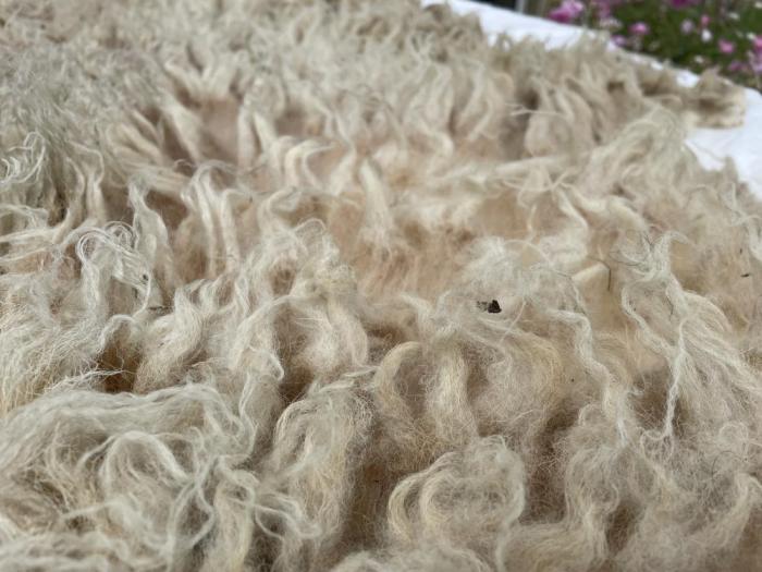 2023 Boreray Shearling Fleece from Ember