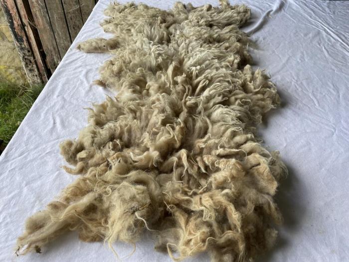 2023 Boreray Shearling Fleece