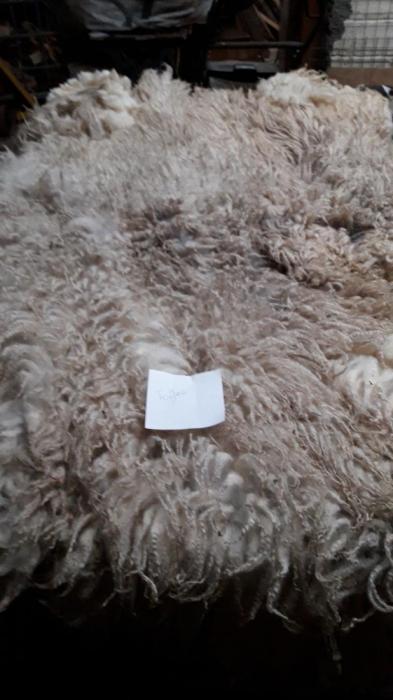 2023 Shetland  &times; Icelandic Shearling Fleece from Toffee